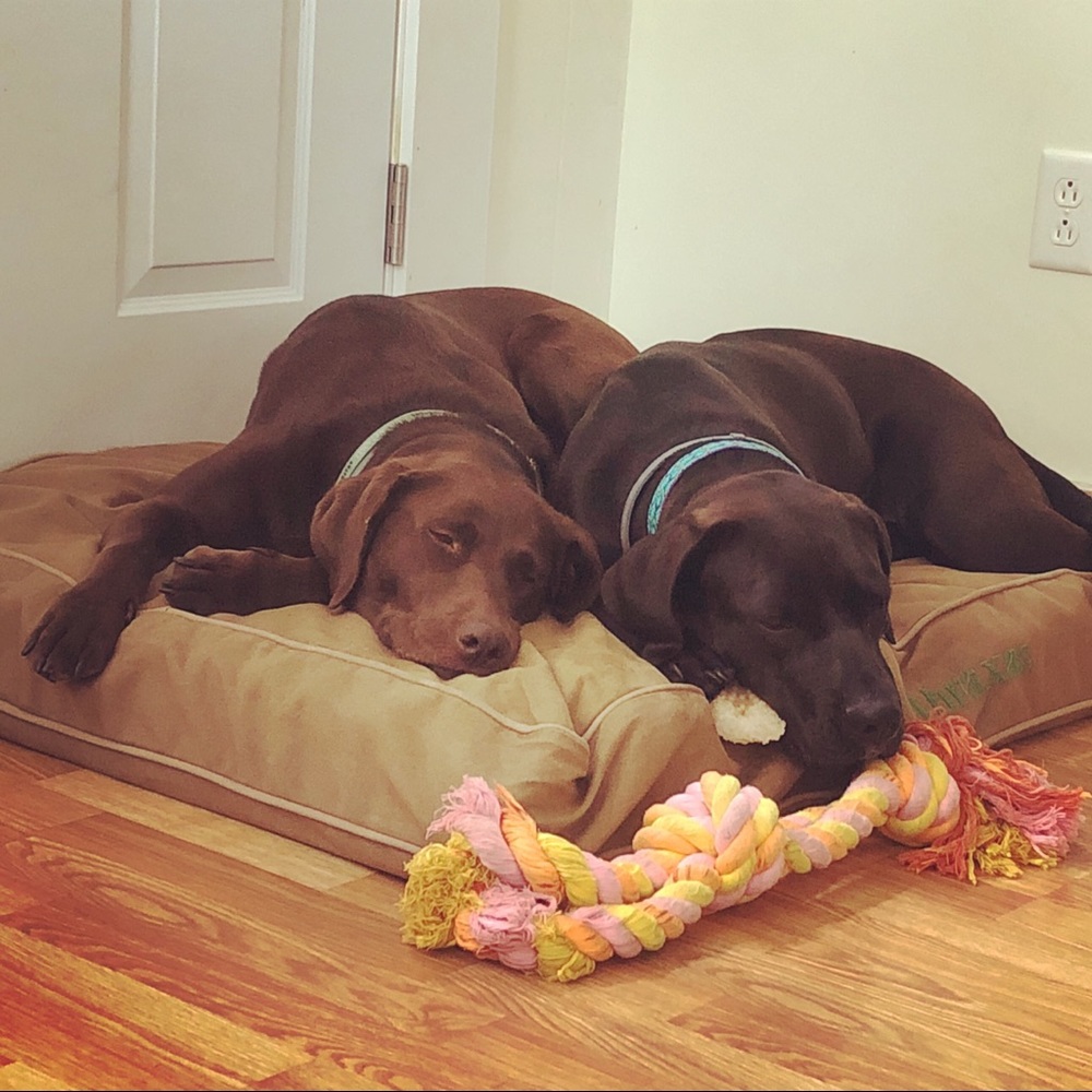 Meet your Posher, Jennifer